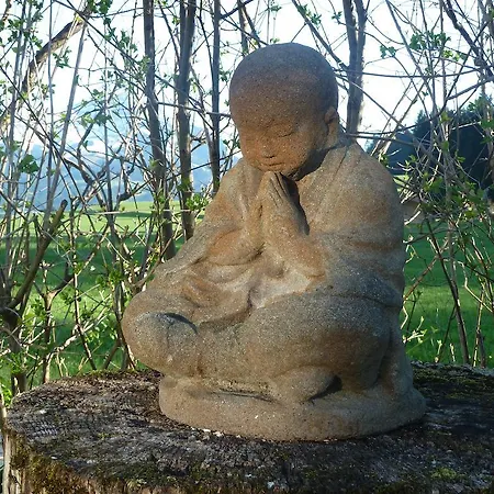 Schneider Kirchdorf in Tirol