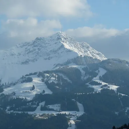 Appartement Schneider Kirchdorf in Tirol