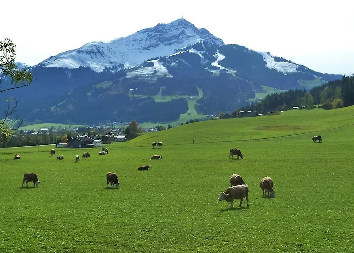 Schneider Apartment *