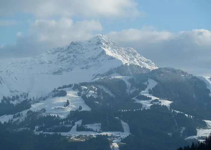 Apartment Schneider Kirchdorf in Tirol