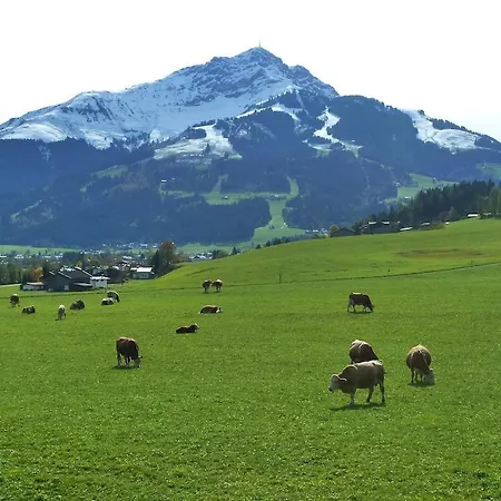 Schneider Διαμέρισμα *